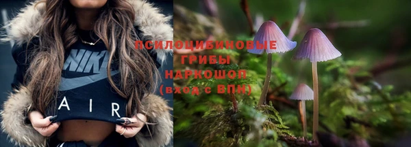 мяу мяу кристалл Дмитров