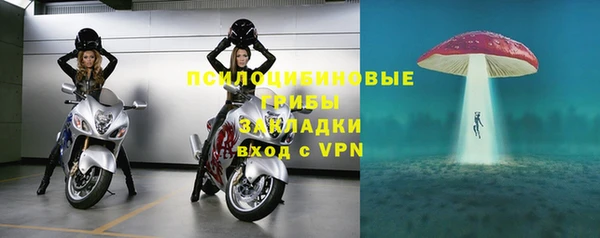 мяу мяу кристалл Дмитров