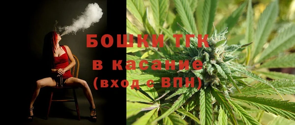 прущая мука Дмитриев