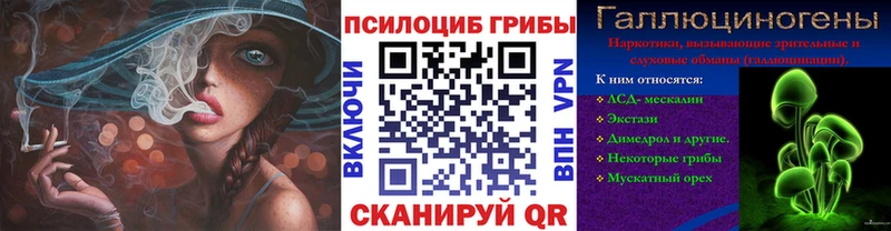 Псилоцибиновые грибы мицелий Покров